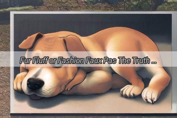 Fur Fluff or Fashion Faux Pas The Truth About Dog Grooming in Winter